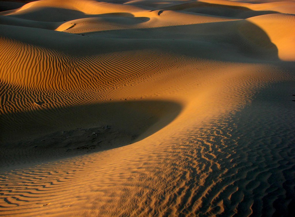 The Thar Desert